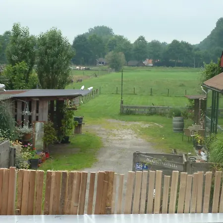 With Than A View * Maldegem
